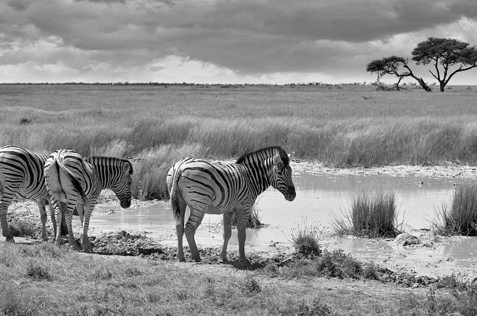 Фотосафари в Намибия